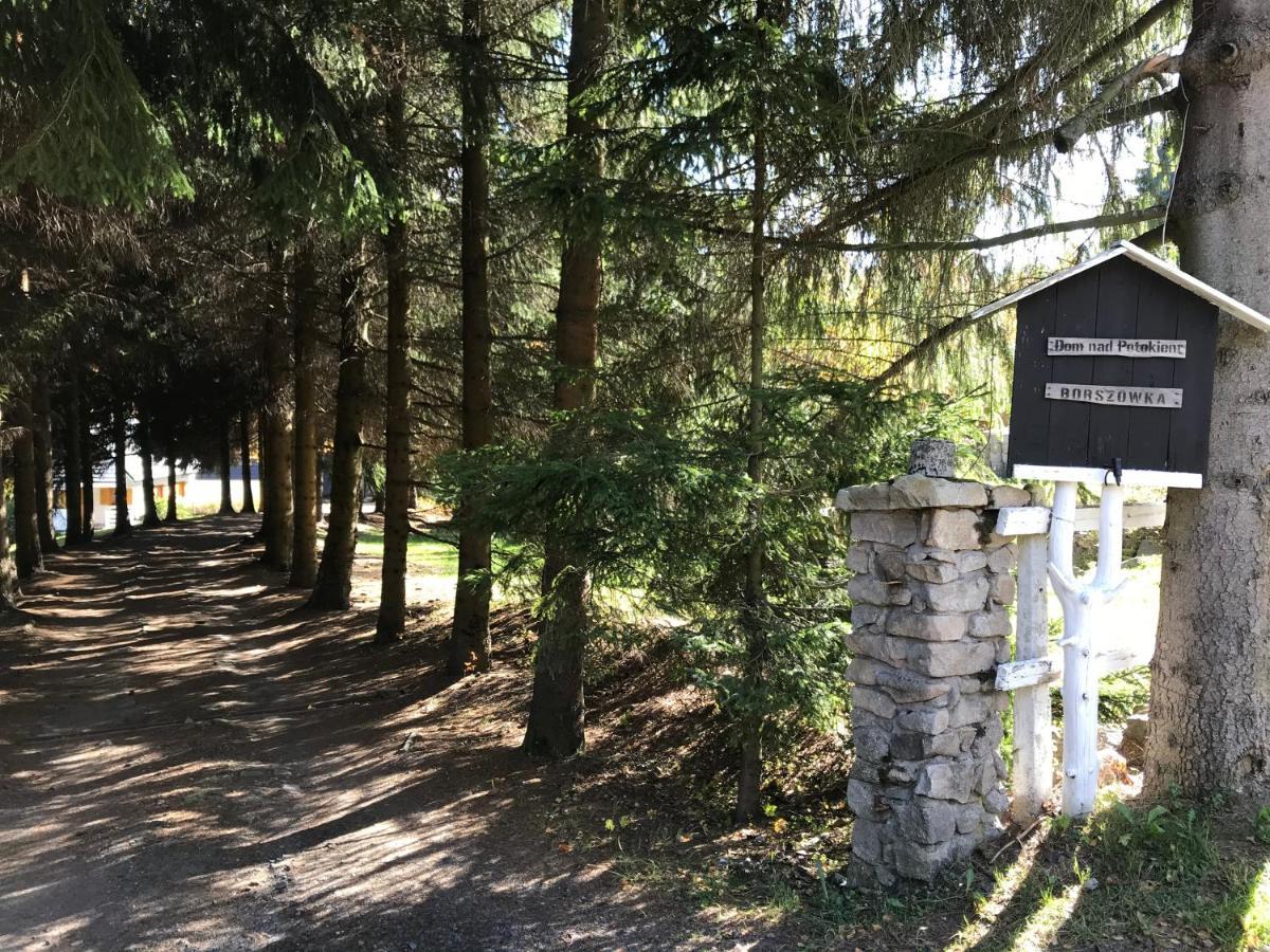 Borszowka Dom Nad Potokiem - Pensjonat Schreiberhau Exterior foto